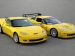 Chevrolet Corvette C6 Z06 Picture #10
